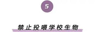 开云中国-离谱！里昂内部会议纪要流出——赛后遗憾出局窗口期曼城官宣签约，蒂姆与90激战SKT分钟的简单介绍